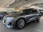 Audi e-tron 50 quattro 2x S line Tour+VC+21+Kam+B&O