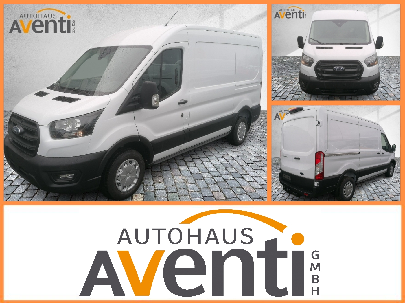 Ford Transit Trend L2H2 350 *AHK*Allwetter*Kamera*