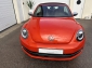 VW Beetle Cabriolet BMT SPORT EXCLUSIV ** 38 TKM **