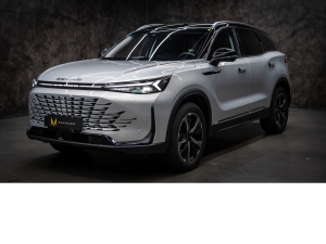 BAIC X75 inkl. Vollaus.+Konservierung+3JGarantie