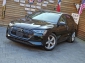 Audi e-tron 50 Pano Matrix Kamera VC Memory