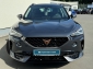 Cupra Formentor 1.5 TSI Kamera Park Assist Full Link LED Shz Alu18