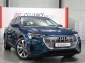 Audi e-tron 50 QUATTRO / LUFTFEDERUNG / VC / ACC / 1A