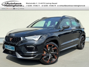 Cupra Ateca 2.0 TSI DSG 4Drive Tribe Edition Akrapovic e.Hk Kamera Navi