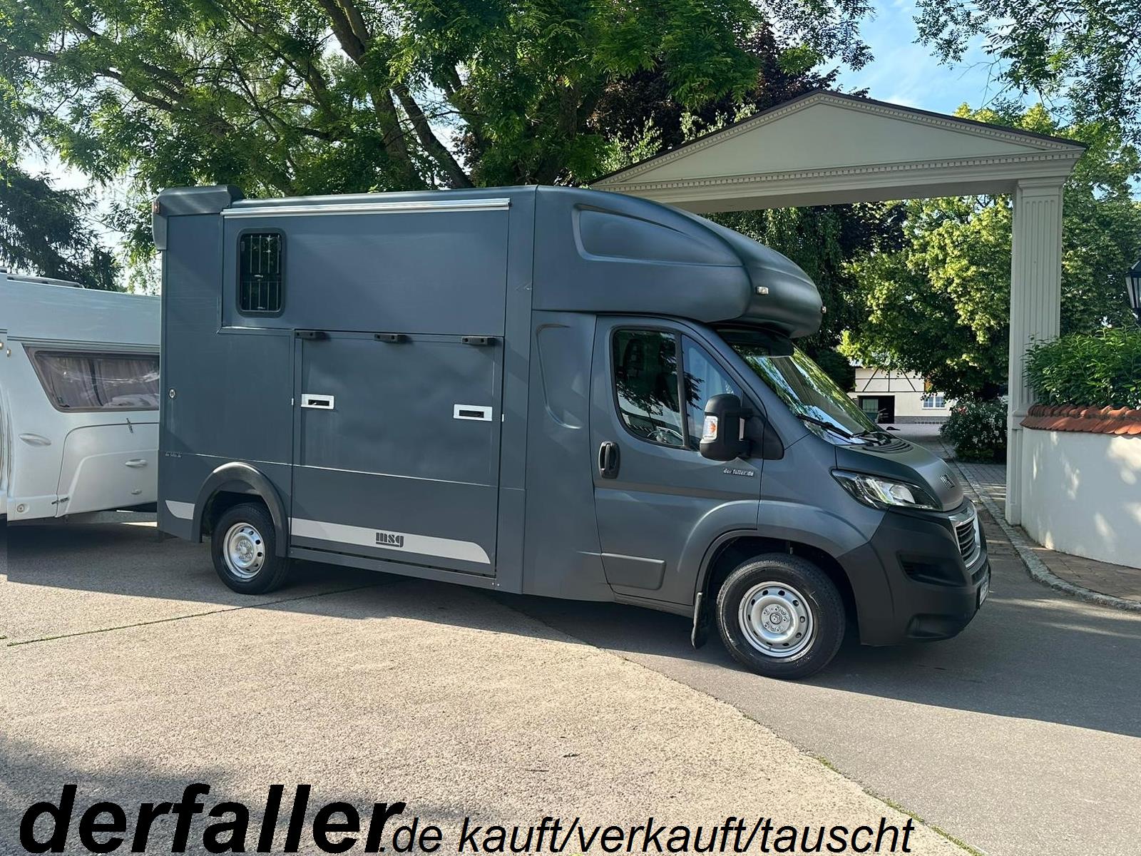 Peugeot Boxer MSG 1-2 Pferde