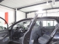 VW Golf VIII 1.5 TSI FIRST EDITION / PANORAMA / 1A