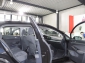 VW Golf VIII 1.5 TSI FIRST EDITION / PANORAMA / 1A