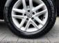 VW Tiguan Sport & Style Allrad / Leder / AHK / Navi