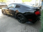 Ford Mustang * Shelby 500 Look *