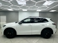 VW Tiguan 2.0 TDI DSG 4M R-Line Black-Style IQ H&K StHZ