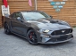 Ford Mustang GT Automatik VC Navi 20 Leder Kamera