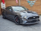 Ford Mustang GT Automatik VC Navi 20 Leder Kamera