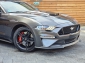 Ford Mustang GT Automatik VC Navi 20 Leder Kamera