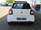 Smart ForFour passion LED/Panorama/Stzhzg