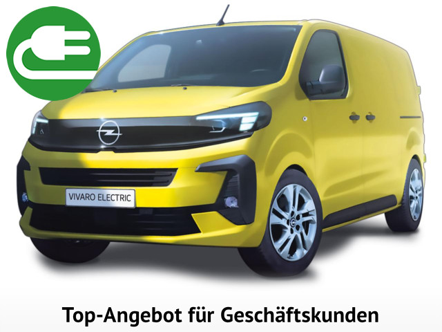 Opel Vivaro Electric Trennwand