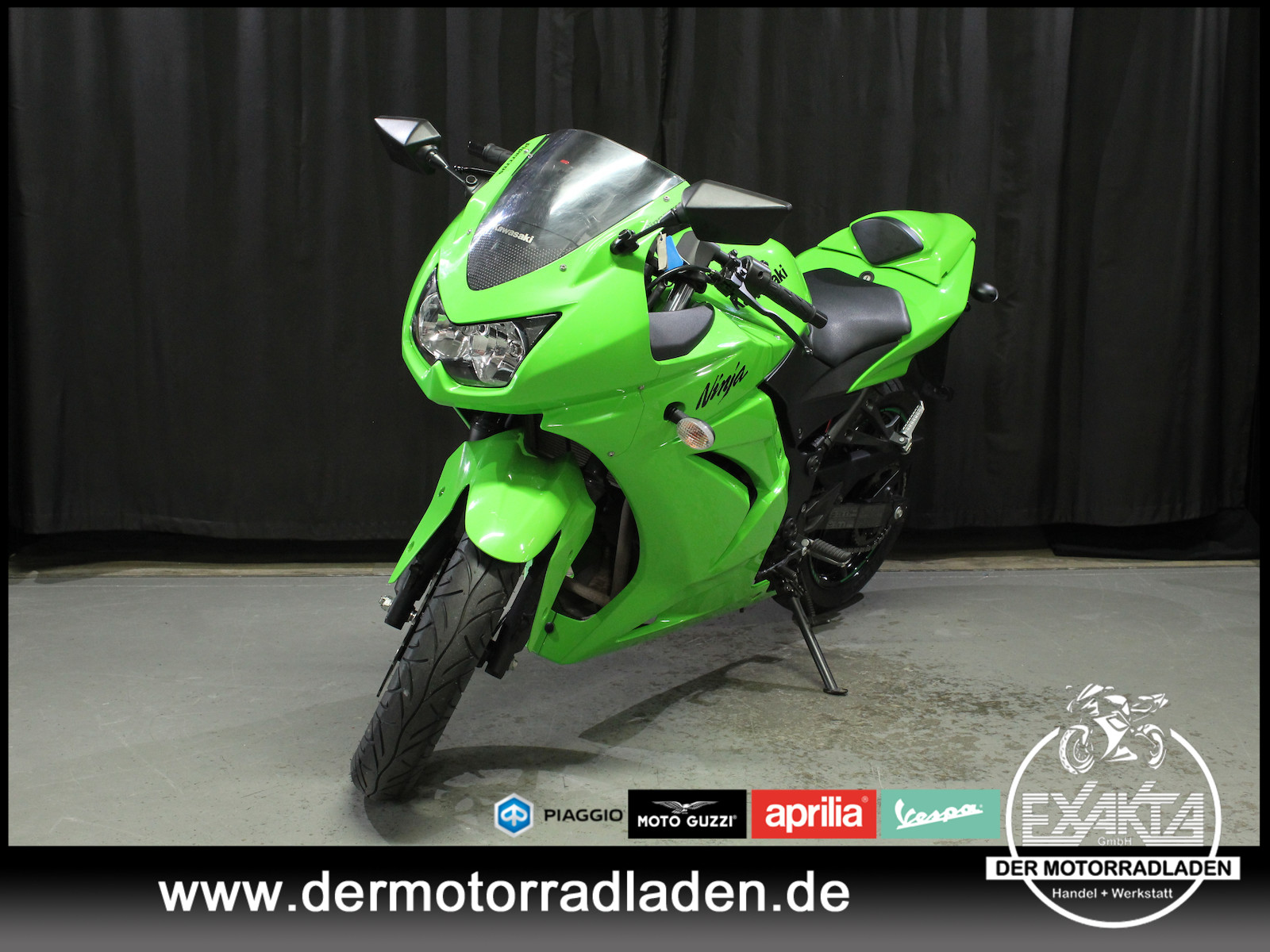 Kawasaki Ninja 250 R // AUSPUFF LEO-VINCE //