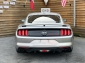 Ford Mustang GT 5.0 Automatik CS 20 Leder Kamera