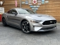 Ford Mustang GT 5.0 Automatik CS 20 Leder Kamera