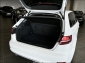 Skoda Octavia RS iV Aut. Pano LED Assist Digital 180kw