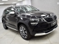 Skoda Karoq 2.0 TDI 4x4 Scout Navi Automatik DAB Apple