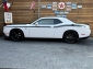 Dodge Challenger BLACKTOP 5,7L R/T V8 Autom. Leder SHZ