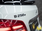 Mercedes-Benz B 250 Electric Drive VOLLE E-POWER + RANGE PLUS