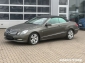 Mercedes-Benz E 220 CDI Cabriolet Bi-Xenon Leder Navi AirCap