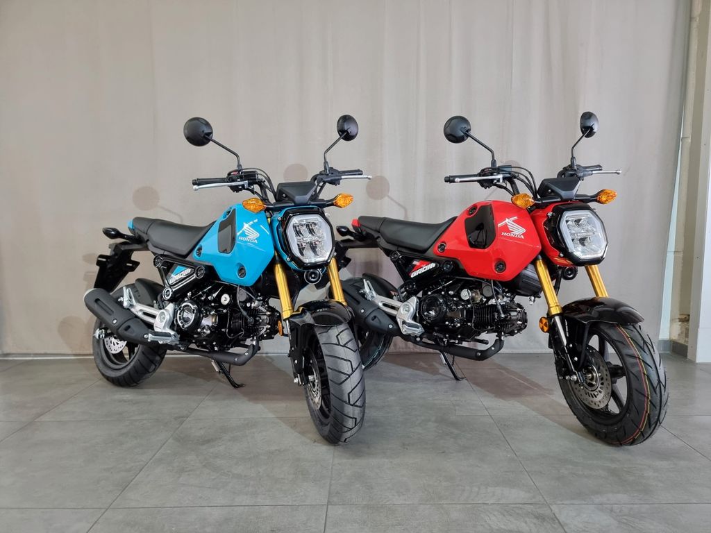 Honda MSX 125 Grom I MJ24 I JETZT VORBESTELLEN