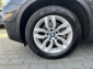 BMW X4 xDrive30d xLine / Leder / Xenon / Kamera