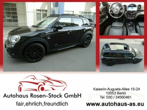 MINI Cooper S Countryman All4 Classic Trim SAG,Panorama,Leder,Kamera,LED