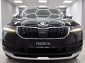 Skoda Karoq Scout 2.0 TDI DSG 4x4 LED RCam DCC AHK KESSY