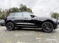 Jaguar F-Pace Pure/R-Sport/Pano/Kam/Leder/St.Kette Neu/