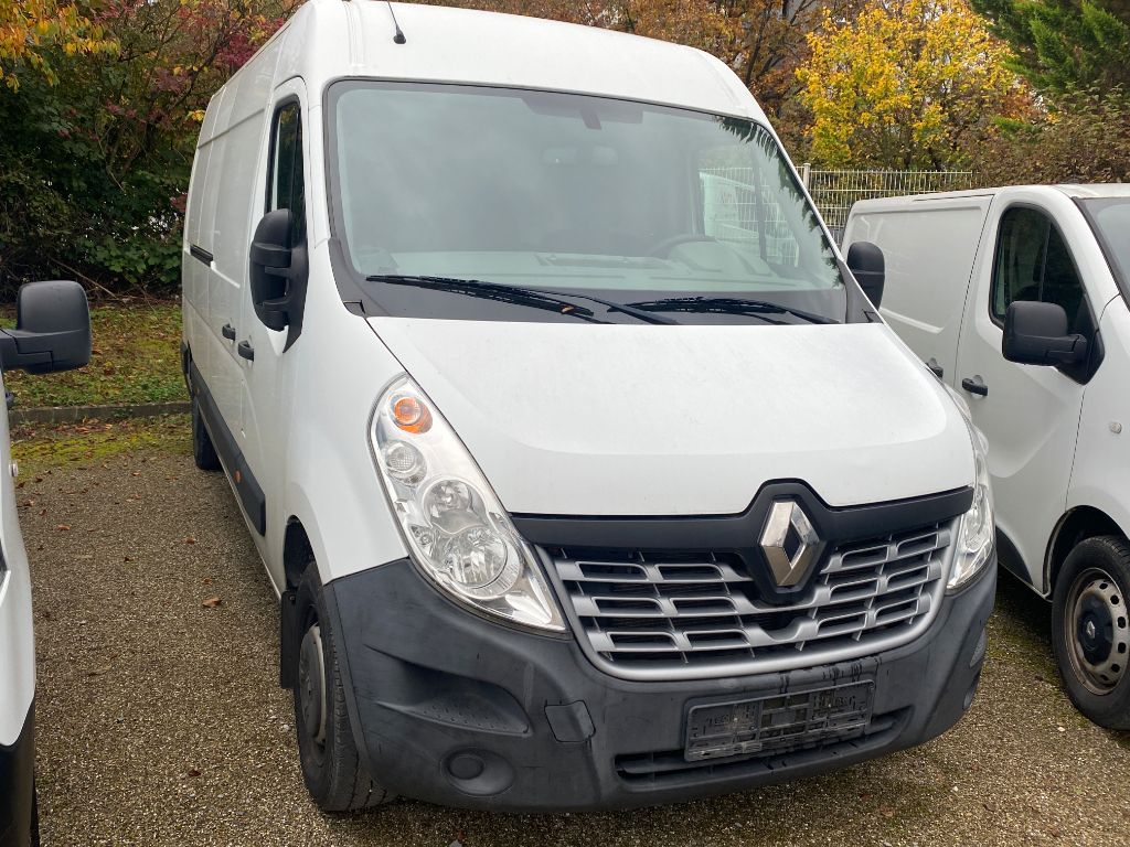 Renault Master dCi 110 L3H2 VA - Hagelschaden