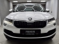 Skoda Karoq Style 2.0 TDI DSG 4x4 LED-Paket DCC RCam Assistance