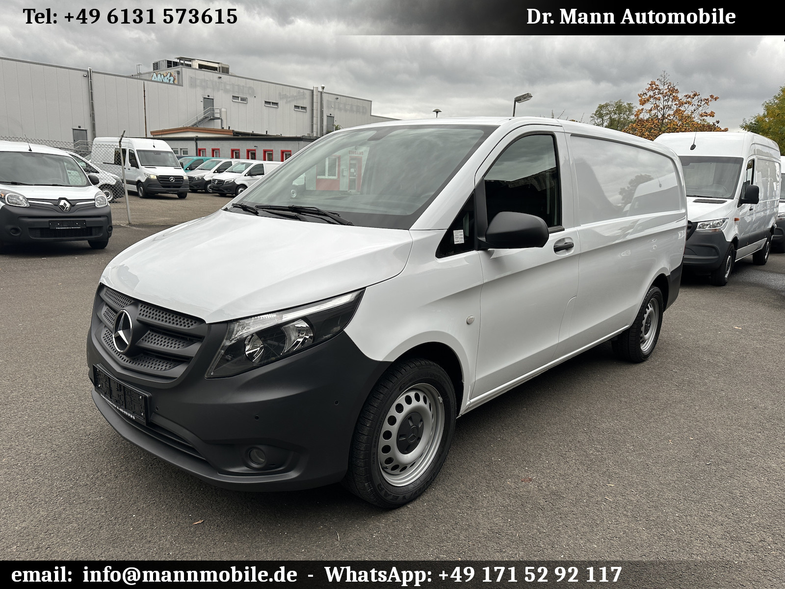 Mercedes-Benz Vito Kasten 4x4