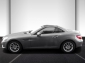 Mercedes-Benz SLK 200 BlueEfficiency,Leder