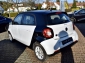 Smart ForFour EQ Passion Cool & Audio