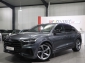 Audi Q8 55 TFSI E Q S-LINE SPORTPAKET PLUS BLACK TOP