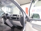 VW T6 Transporter 2.0 TDI Kasten EcoProfi SILBER