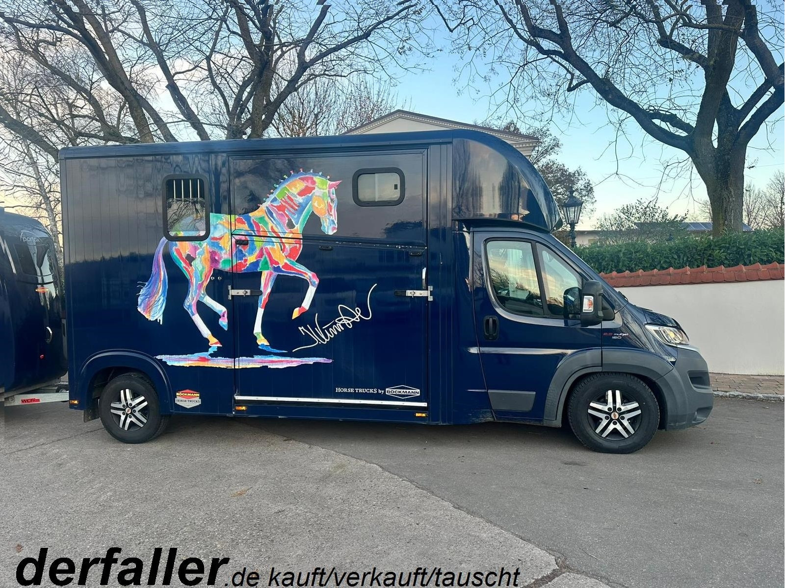 Fiat Ducato Böckmann 1-2 Pferde Hengsttrennung