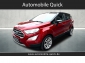 Ford EcoSport 1.0 Titanium X SD/Navi/R.-Kamera/Allwetter