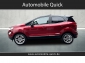 Ford EcoSport 1.0 Titanium X SD/Navi/R.-Kamera/Allwetter