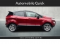 Ford EcoSport 1.0 Titanium X SD/Navi/R.-Kamera/Allwetter