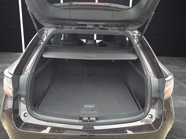 Suzuki Swace
