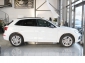 Audi Q5 50 TDI quat S-LINE*SPORT*V-CPT*ACC*NAV*360