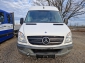 Mercedes-Benz Sprinter 313 CDI Kasten/Klima Motorschaden