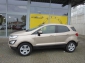 Ford EcoSport Trend SHZ LenkradHZG Alarm Notbremsass. Tel.-Vorb. PDC Berganfahrass. Kollisionswarner