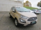 Ford EcoSport Trend SHZ LenkradHZG Alarm Notbremsass. Tel.-Vorb. PDC Berganfahrass. Kollisionswarner