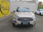 Ford EcoSport Trend SHZ LenkradHZG Alarm Notbremsass. Tel.-Vorb. PDC Berganfahrass. Kollisionswarner