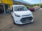 Ford Transit Connect Kasten 1,5 TDCI Trend